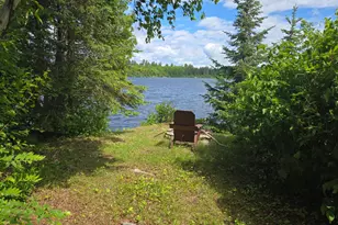 Tbd Longsberry Island, Orr, MN 55771 - Photo 41