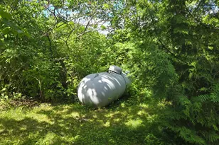 Tbd Longsberry Island, Orr, MN 55771 - Photo 43