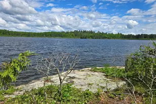 Tbd Longsberry Island, Orr, MN 55771 - Photo 47