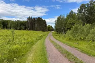 1672 Co Rd 146, Holyoke, MN 55749 - Photo 3