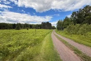 1672 Co Rd 146, Holyoke, MN 55749 - Photo 31