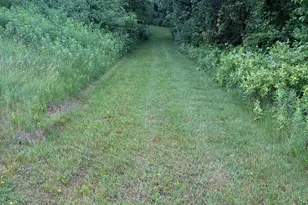 W8972 520th Ave, Ellsworth, WI 54011 - Photo 35
