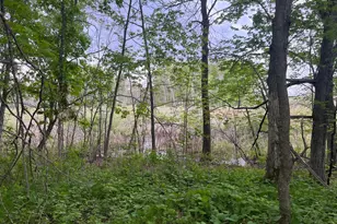 Tbd Crust Rd, Brainerd, MN 56401 - Photo 41