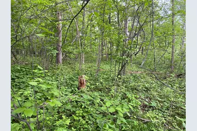 Tbd Crust Road, Brainerd, MN 56401 - Photo 29