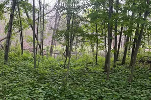 Tbd Crust Rd, Brainerd, MN 56401 - Photo 47