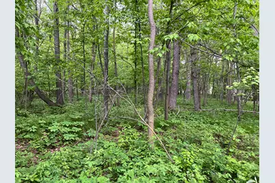 Tbd Crust Road, Brainerd, MN 56401 - Photo 31