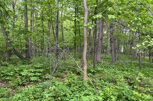 Tbd Crust Rd, Brainerd, MN 56401 - Photo 31
