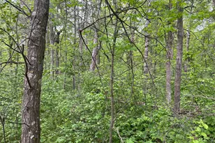 Tbd Crust Rd, Brainerd, MN 56401 - Photo 27