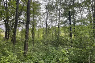 Tbd Crust Rd, Brainerd, MN 56401 - Photo 3