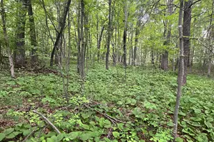 Tbd Crust Rd, Brainerd, MN 56401 - Photo 21