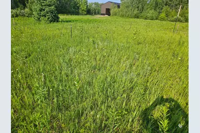 Tbd County Road 36, Crosby, MN 56441 - Photo 5