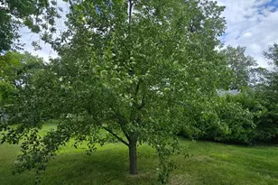 500 Lexington St, Milroy, MN 56263 - Photo 7