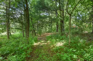 3236 168th Ln NW, Andover, MN 55304 - Photo 43