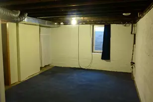 101 Wilson St, Springfield, MN 56087 - Photo 57