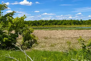 Tbd Co Hwy 1, Battle Lake, MN 56515 - Photo 15