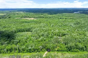 30298 County 33, Akeley, MN 56433 - Photo 33