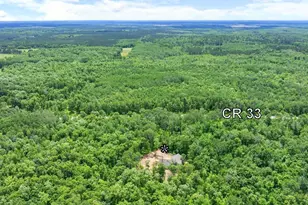 30298 County 33, Akeley, MN 56433 - Photo 37