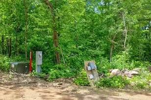 30298 County 33, Akeley, MN 56433 - Photo 29