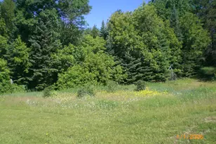 8218 Ski Chalet Dr, Pequot Lakes, MN 56472 - Photo 59