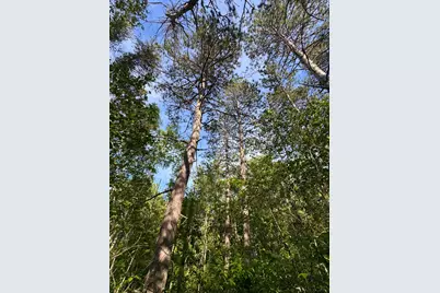 17619 Ivy Drive, Park Rapids, MN 56470 - Photo 37