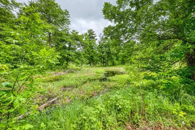 33133 221st Avenue, Bagley, MN 56621 - Photo 59