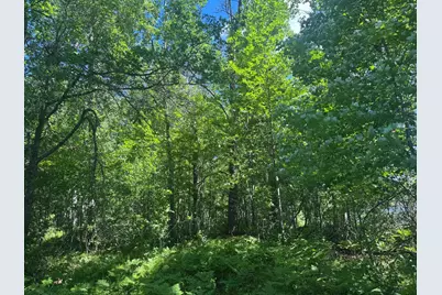 15043 S Thorn Lake Loop, Gordon, WI 54838 - Photo 13