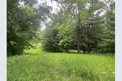 Tbd 50th Street W, Webster, MN 55088 - Photo 3