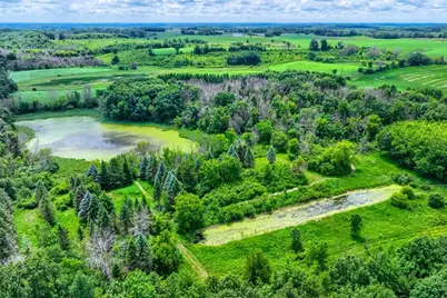 Tbd 50th Street W, Webster, MN 55088 - Photo 19