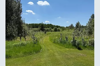 28892 Malcolm Road NW, Grygla, MN 56727 - Photo 9