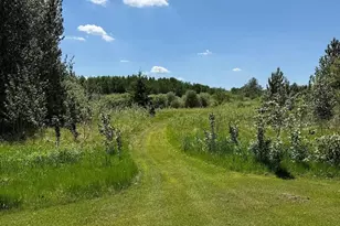 28892 Malcolm Rd NW, Grygla, MN 56727 - Photo 9