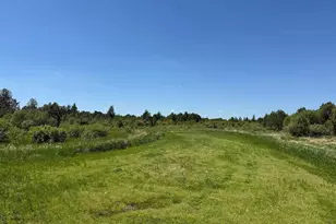 28892 Malcolm Rd NW, Grygla, MN 56727 - Photo 5