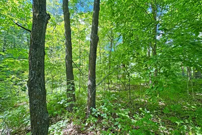 0000 Perry Lake Road, Crosby, MN 56441 - Photo 21