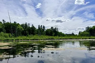 14220 Stocking Lake Rd, Menahga, MN 56464 - Photo 39