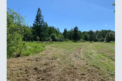 3121 County Road 2 S, Ray, MN 56649 - Photo 11