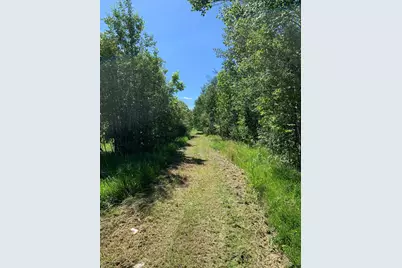 3121 County Road 2 S, Ray, MN 56649 - Photo 9