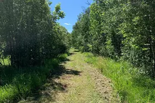 3121 County Rd 2 S, International Falls, MN 56649 - Photo 9