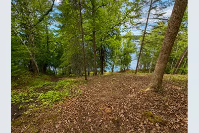 50573 Evergreenpoint Road, Bigfork, MN 56628 - Photo 43