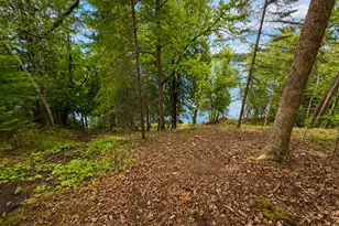 50573 Evergreen Point Rd, Bigfork, MN 56628 - Photo 43