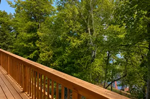 50573 Evergreen Point Rd, Bigfork, MN 56628 - Photo 29