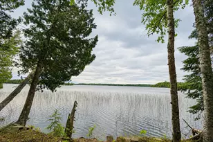 50573 Evergreen Point Rd, Bigfork, MN 56628 - Photo 49