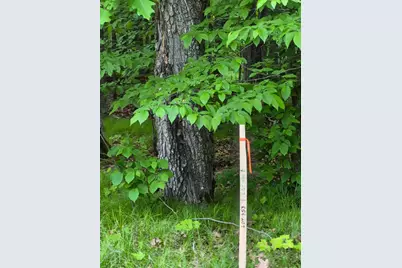 Tbd, Lots 310, 353, and 3 195th Place, McGregor, MN 55760 - Photo 3