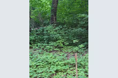 Tbd, Lots 310, 353, and 3 195th Place, McGregor, MN 55760 - Photo 1