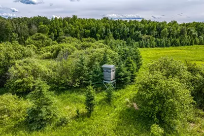 Tbd Lindgren Road NE, Bemidji, MN 56601 - Photo 51