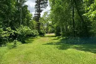 9308 Ossawinnamakee Rd, Pequot Lakes, MN 56472 - Photo 3