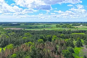 16435 26th St NE, New London, MN 56273 - Photo 11