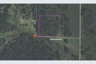 Tbd Butterfield Road, Hibbing, MN 55746 - Photo 1