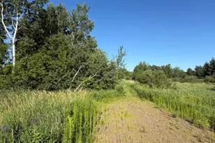 11617 70th Ave, Milaca, MN 56353 - Photo 5
