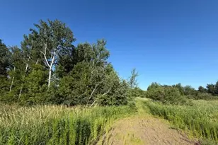 11617 70th Ave, Milaca, MN 56353 - Photo 9