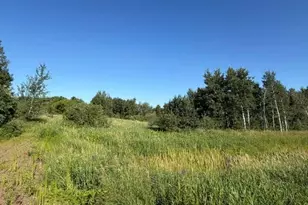 11617 70th Ave, Milaca, MN 56353 - Photo 5