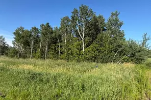 11617 70th Ave, Milaca, MN 56353 - Photo 9